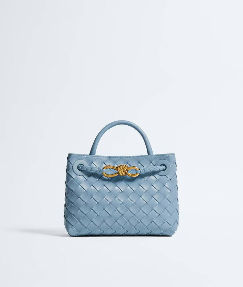 Bottega Veneta Mini Andiamo