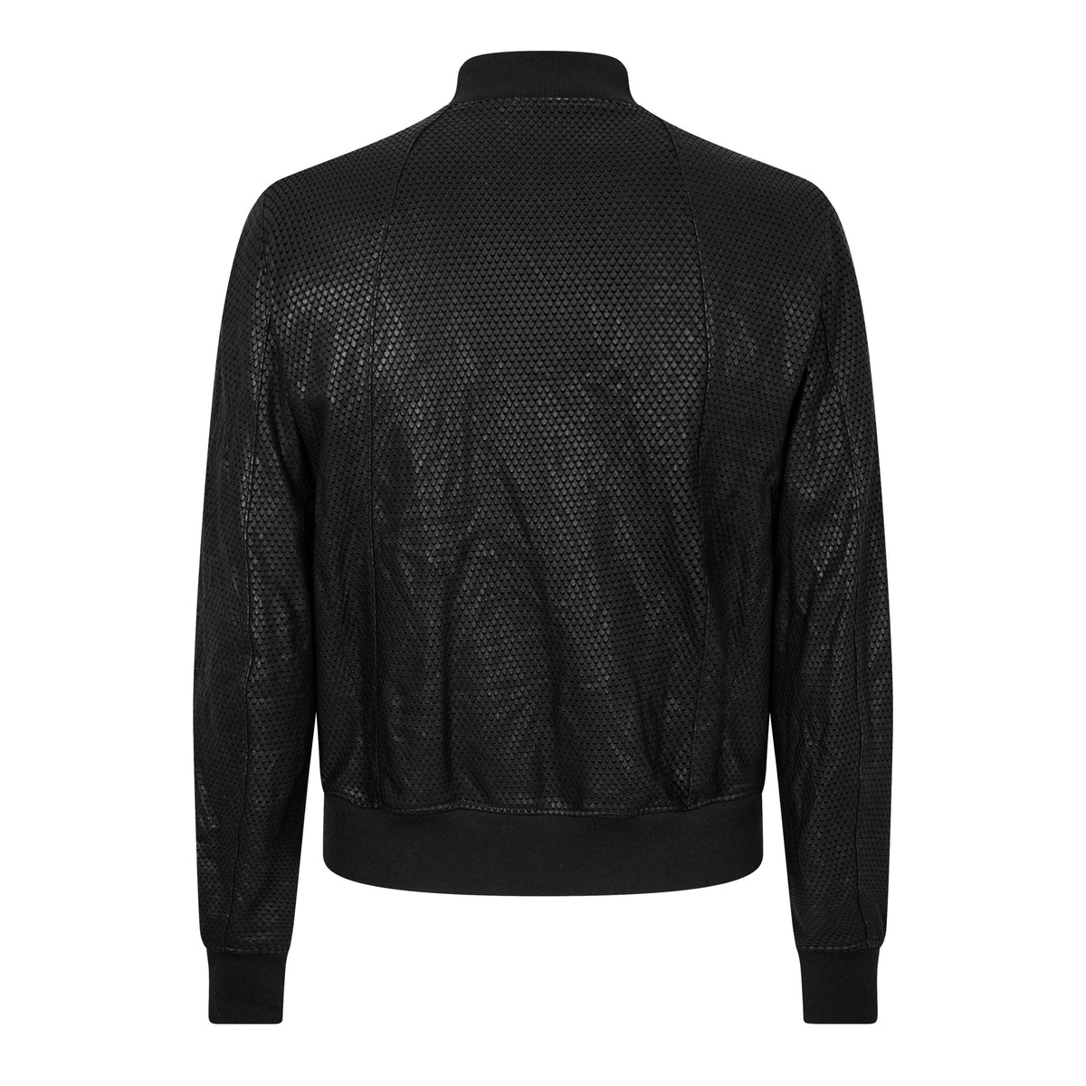 Softshell Jacket