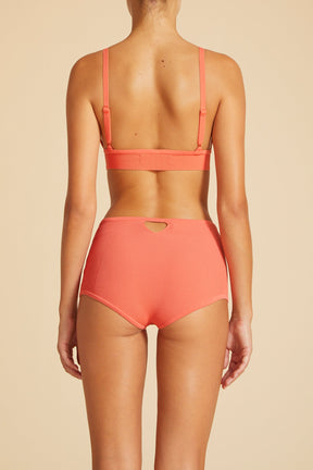 Karis Bralette