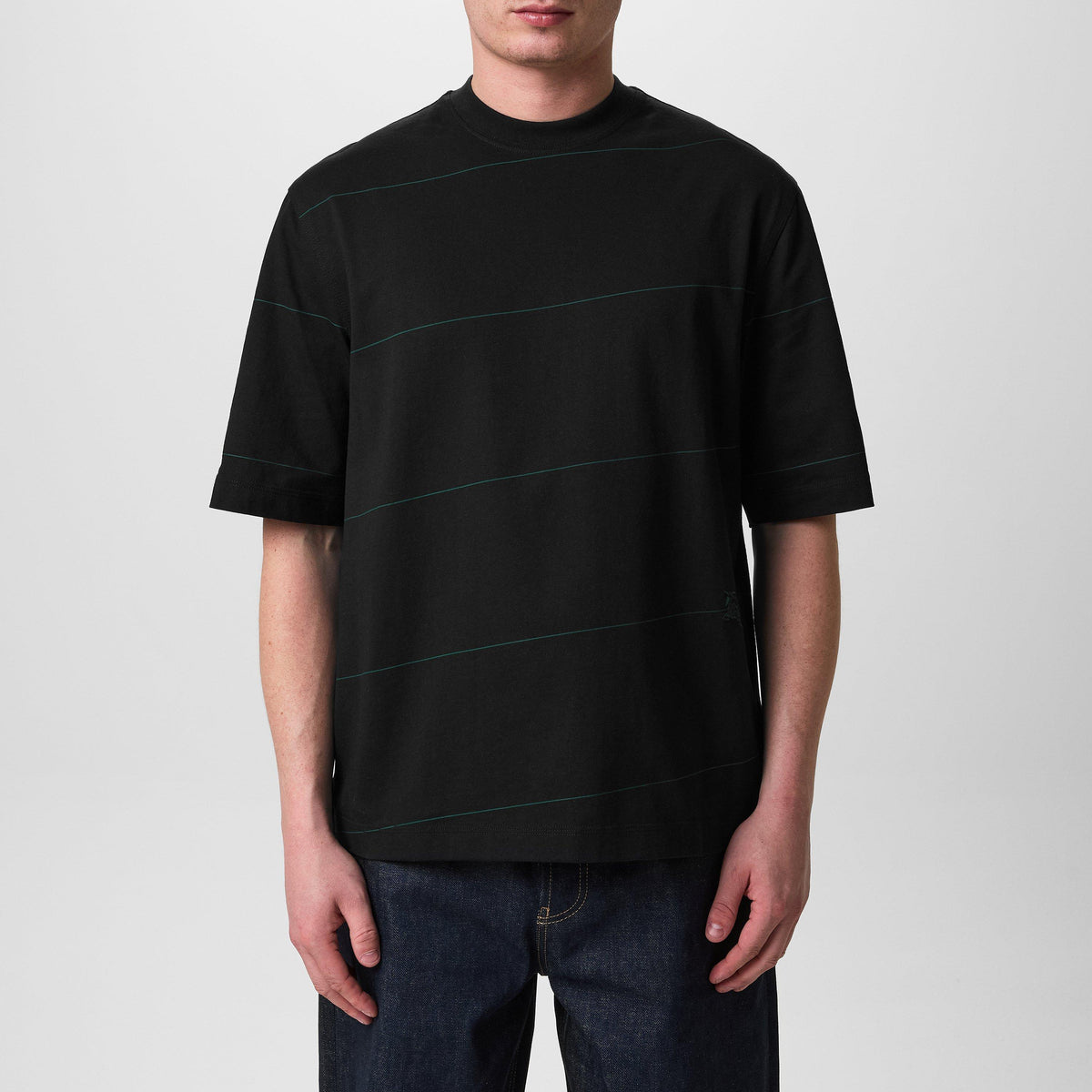 Diagonal Striped T-Shirt