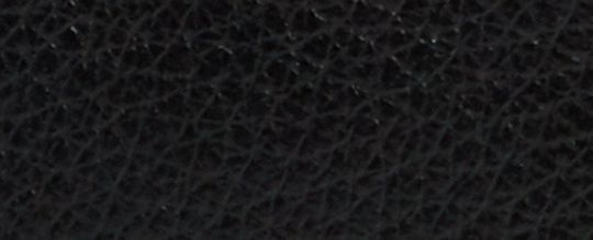 Zip Card Case