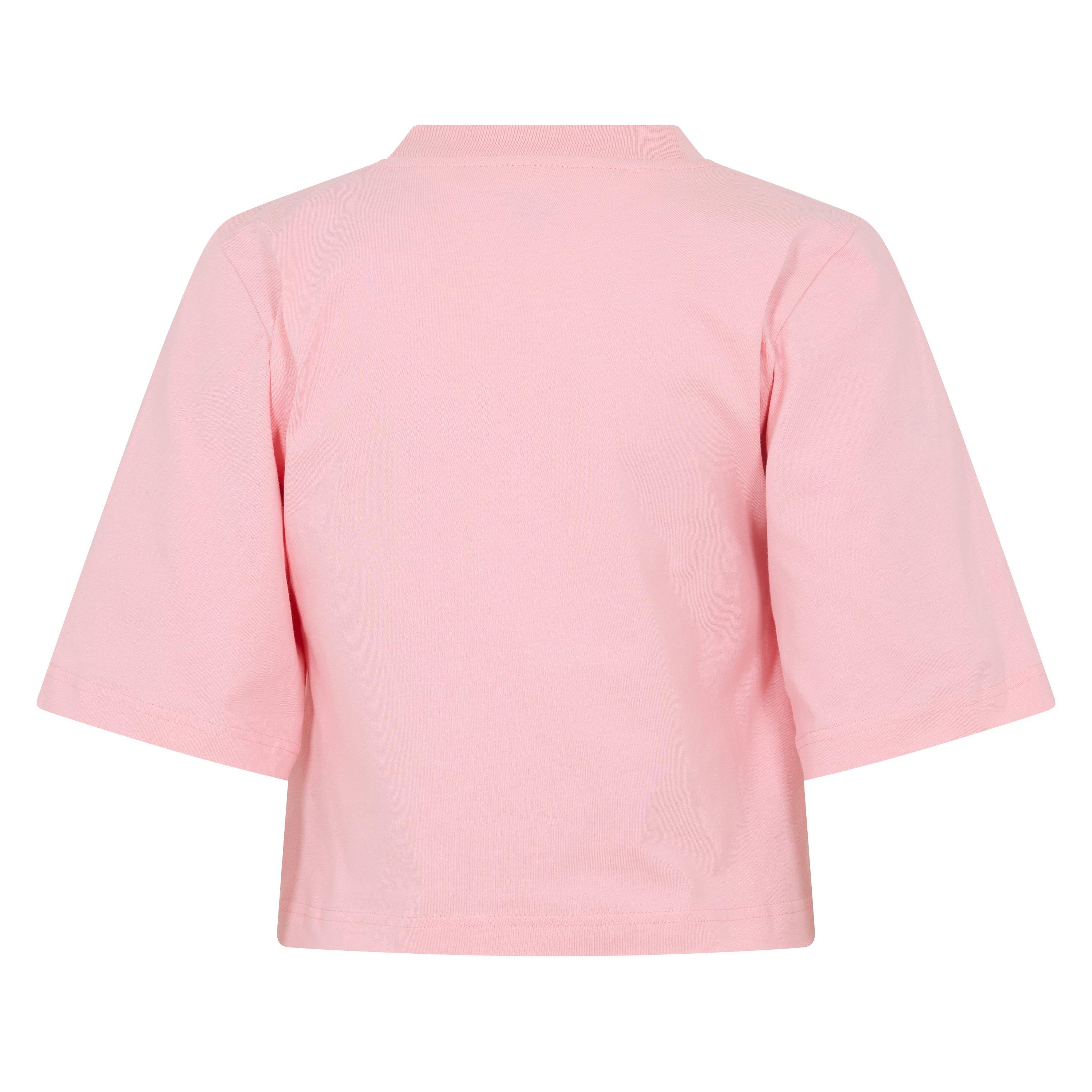 Spray T Cropped Crop Top