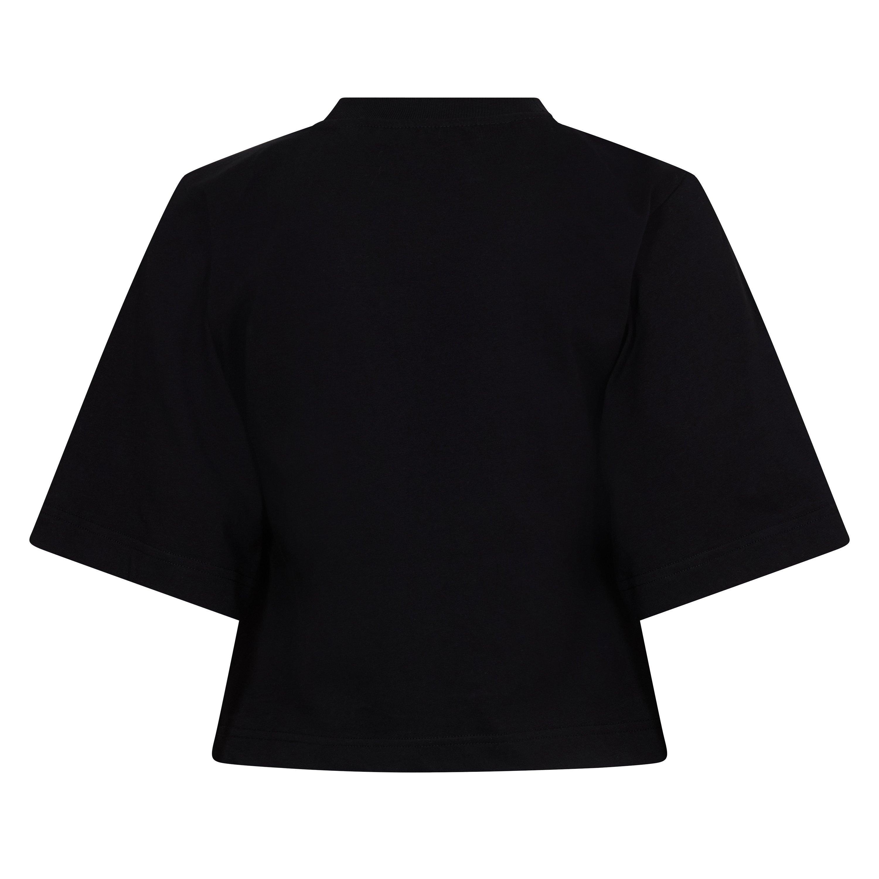 Spray T Cropped Crop Top