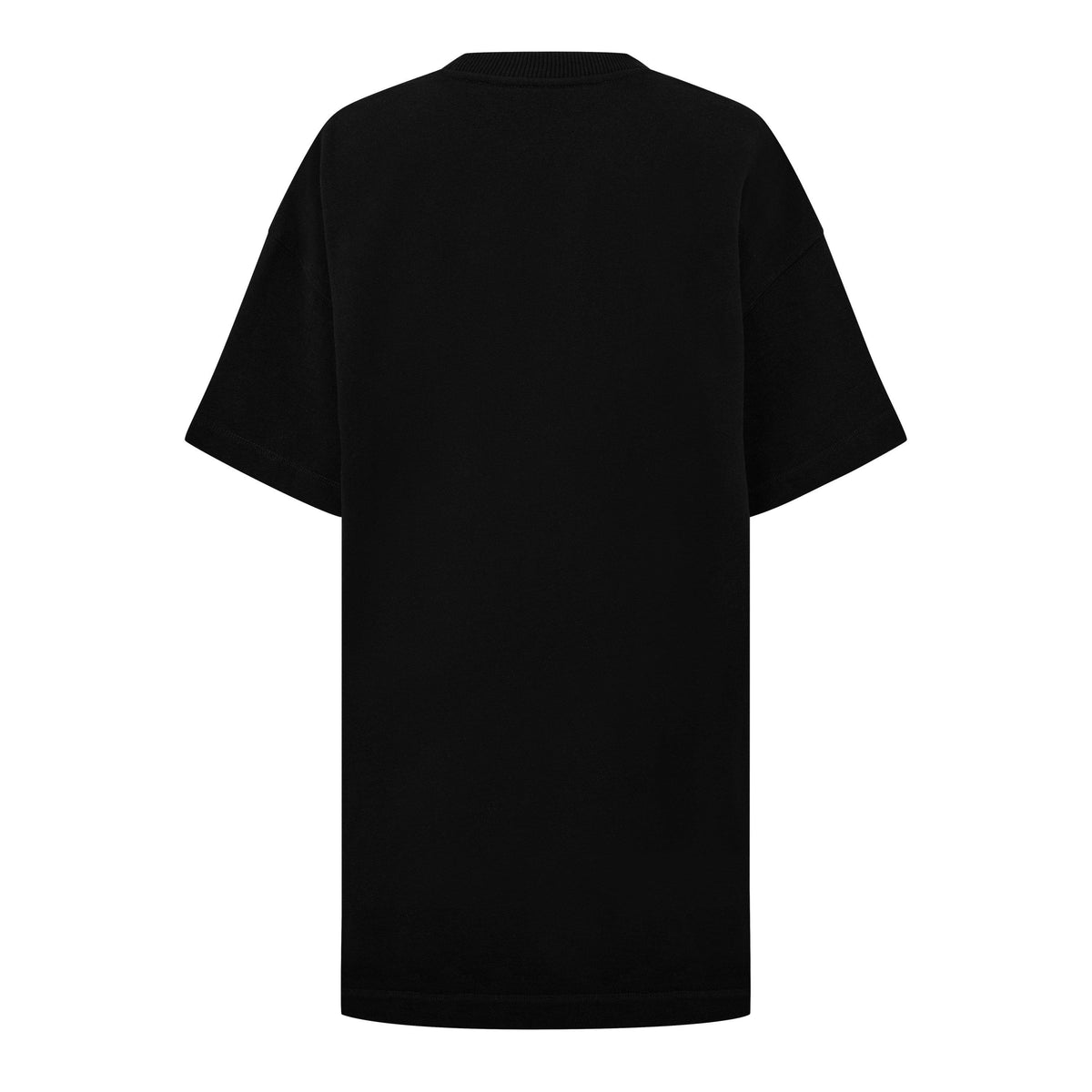 Painter Logo Snap Tee Dress