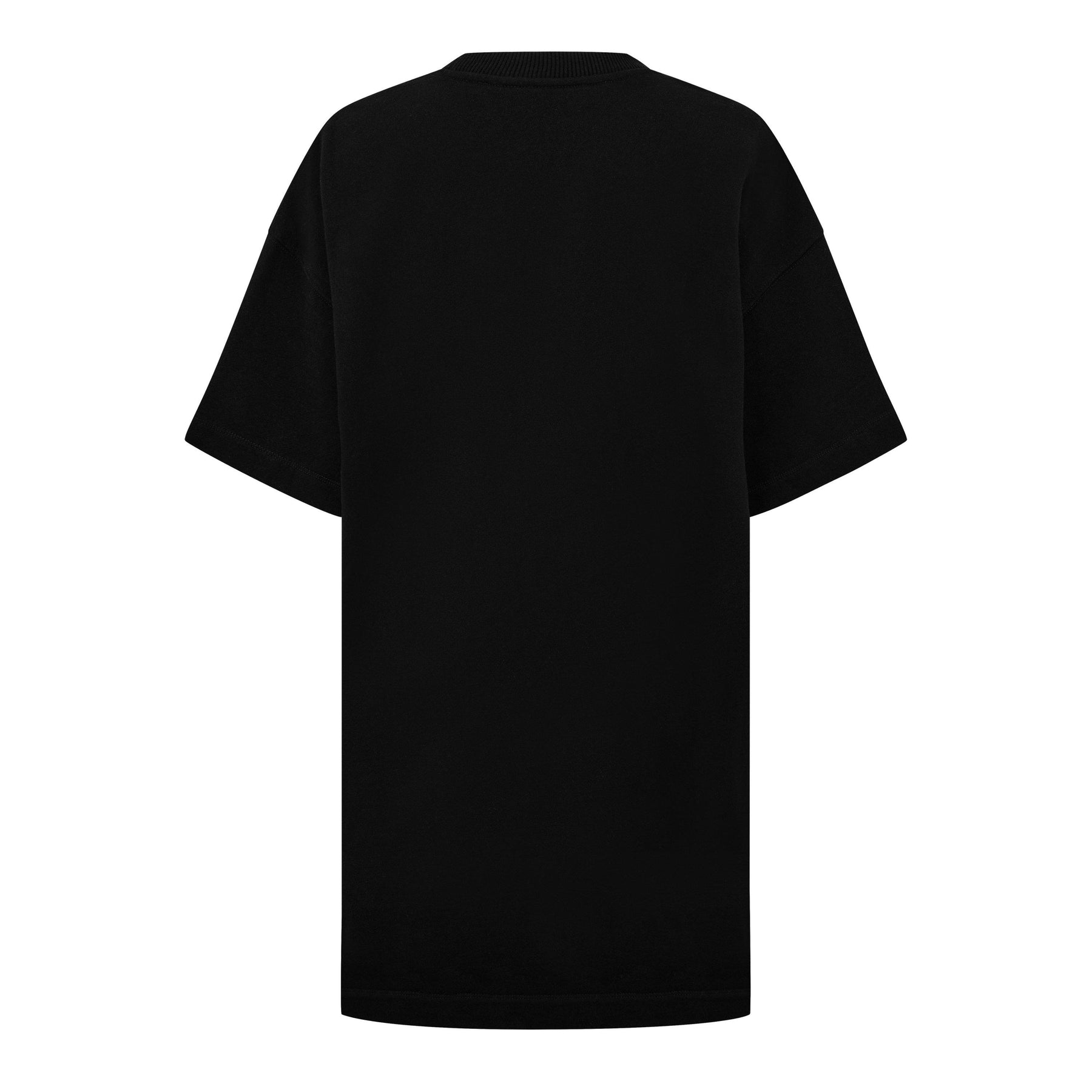 Painter Logo Snap Tee Dress
