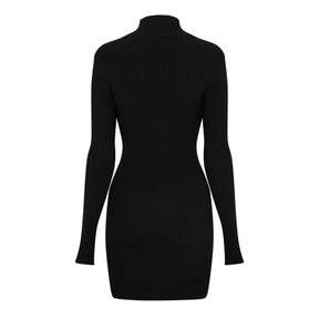 Knit Mini Dress
