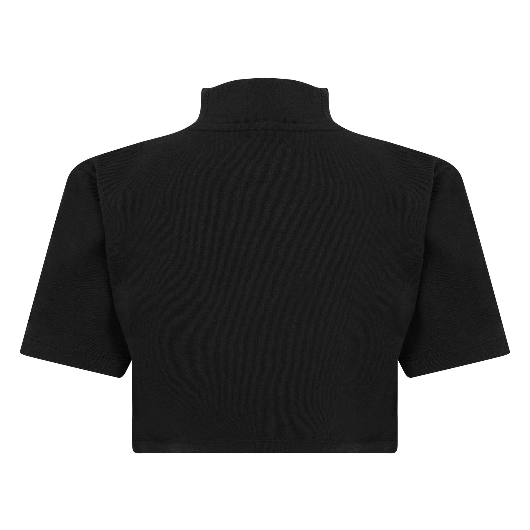 Ctnmb Turtleneck Crop Top