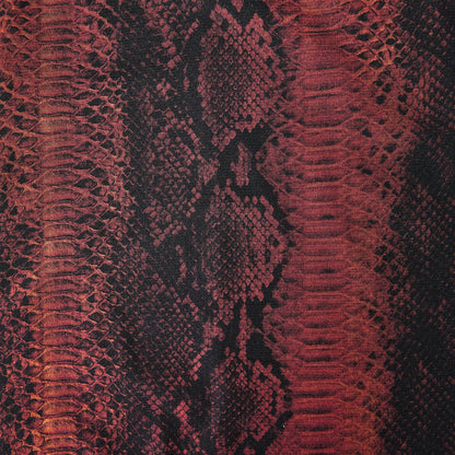 JPG Python Drs Ld54