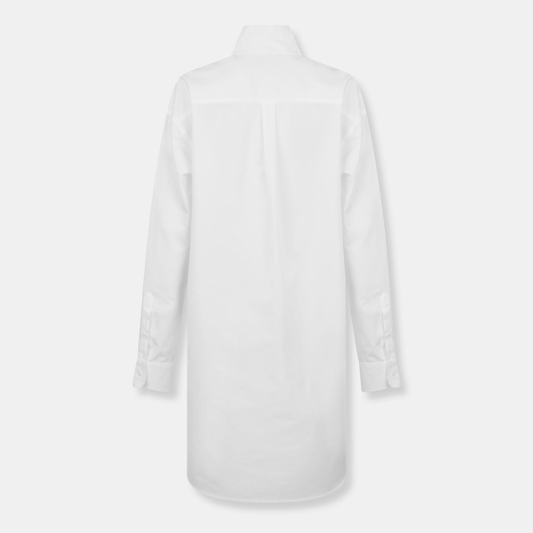 AMI Clr Sht Drs Ld99