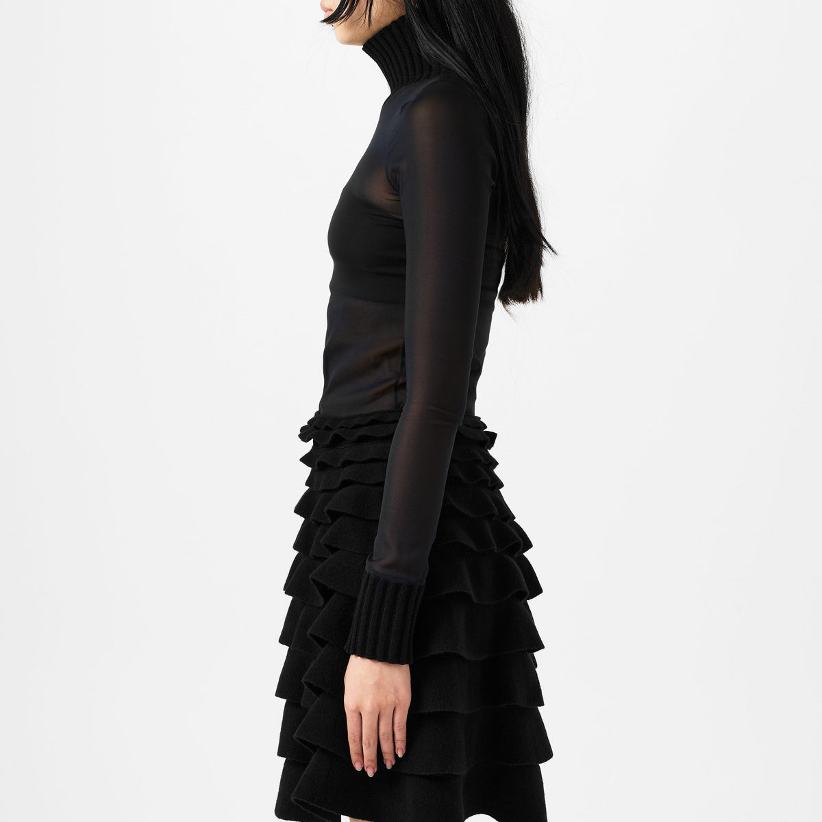 Sheer Turtleneck Top