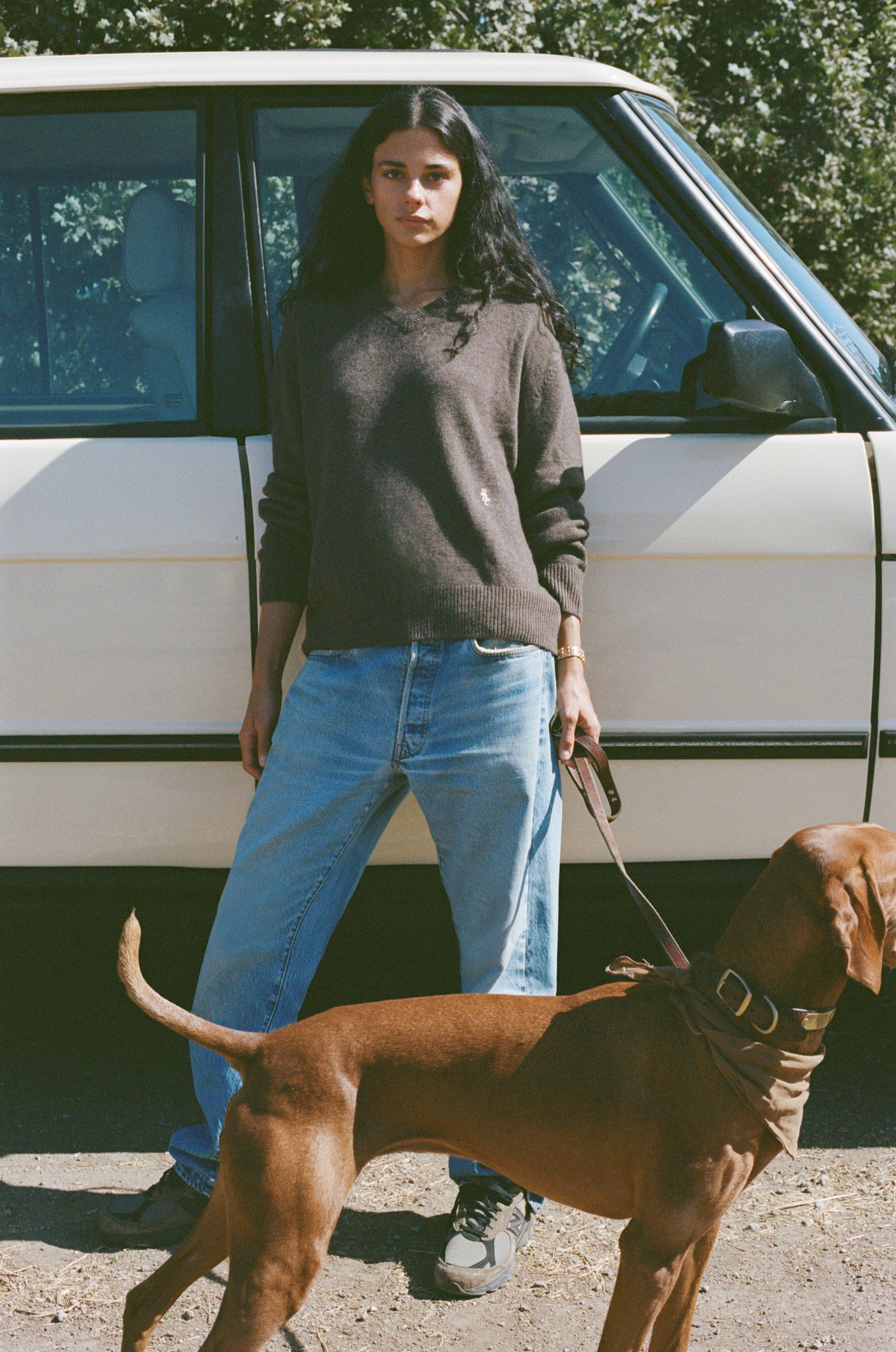 SRC Cashmere V-Neck Sweater - Toffee