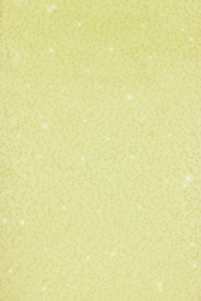 Embellished Side Split Maxi Skirt in Lime Green