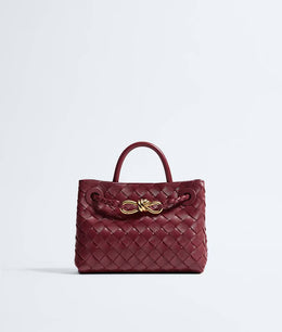 Bottega Veneta Mini Andiamo