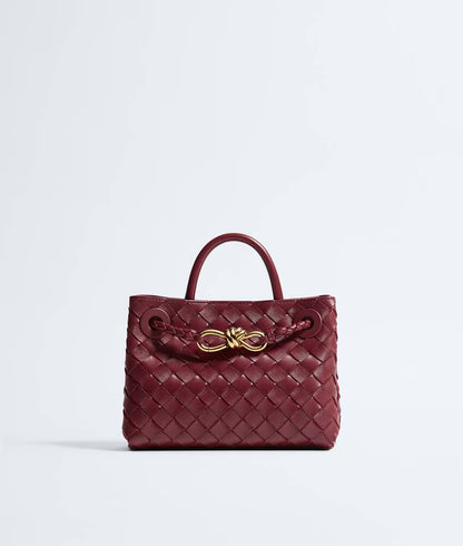 Bottega Veneta Mini Andiamo