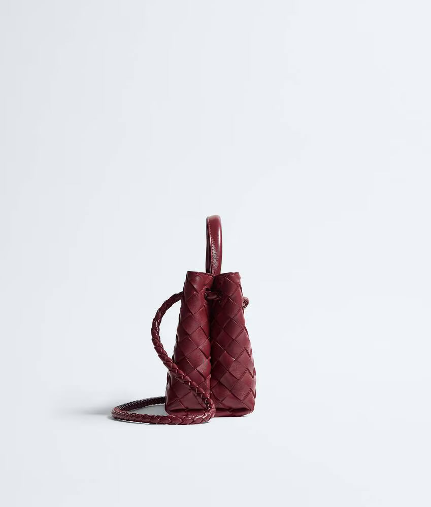 Bottega Veneta Mini Andiamo