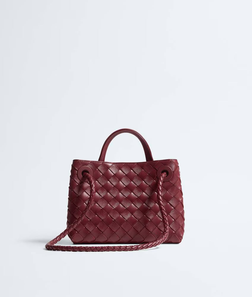 Bottega Veneta Mini Andiamo