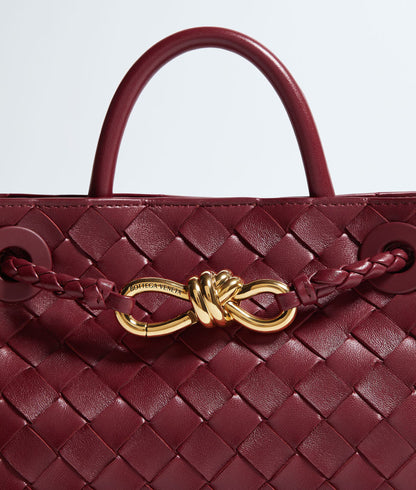Bottega Veneta Mini Andiamo