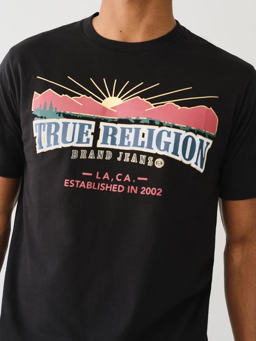 METALLIC LANDSCAPE ARCHED LOGO TEE