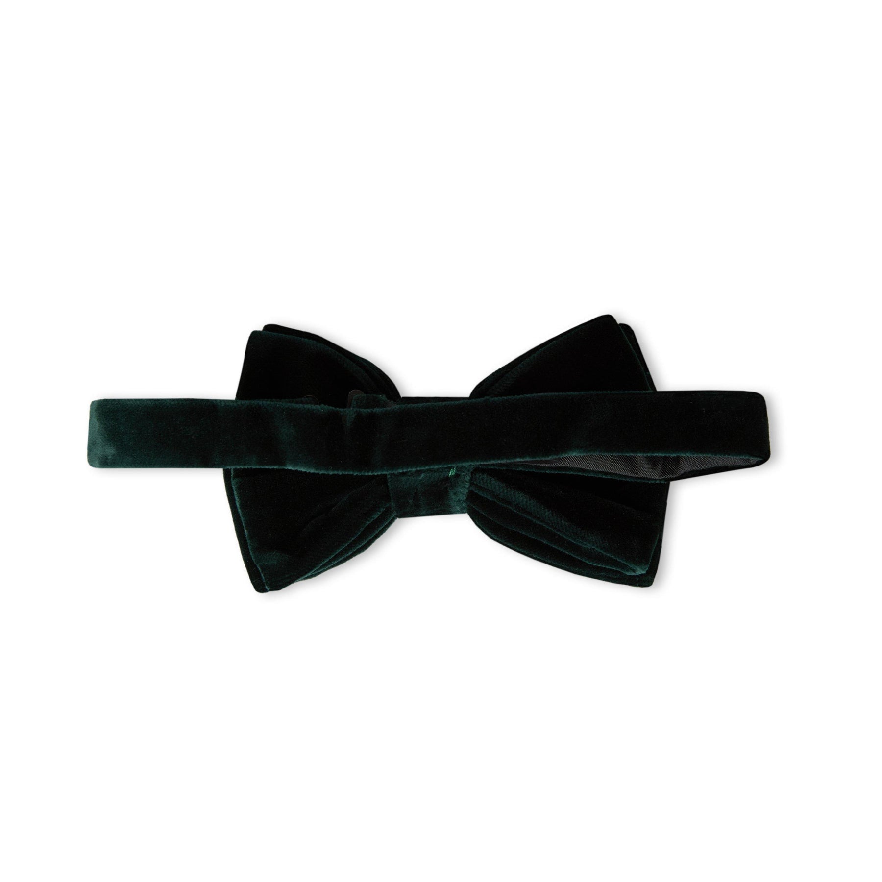 Boss H-B.Tie Bigiotto 242 10254386