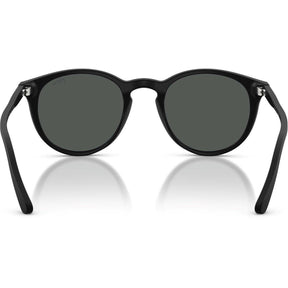 Polo Ralph Lauren 0ph4110 Sunglasses
