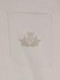 Fendi Beige Shirt with Button-Down Collar and Logo Embroidery on the Front in Cotton Man