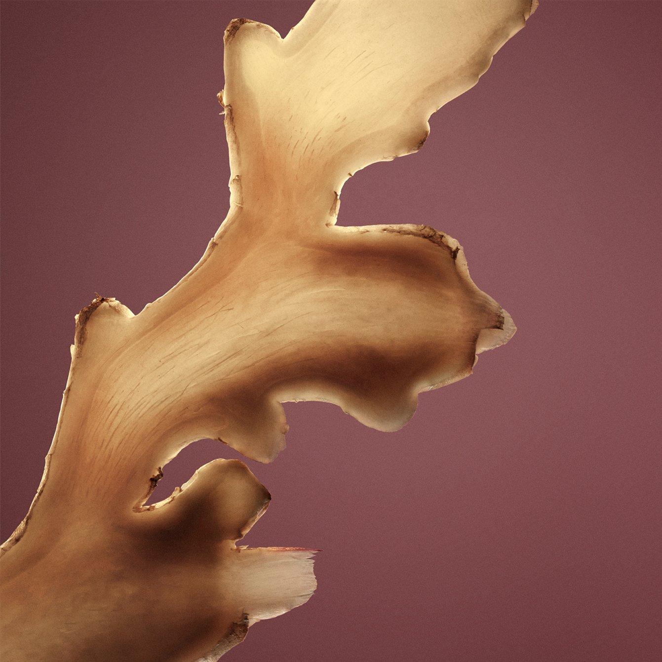 Women's THE SCENT Absolute Intense Fragrance