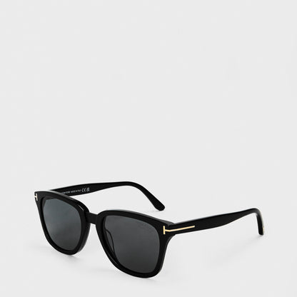 Classic Wayfarer Sunglass