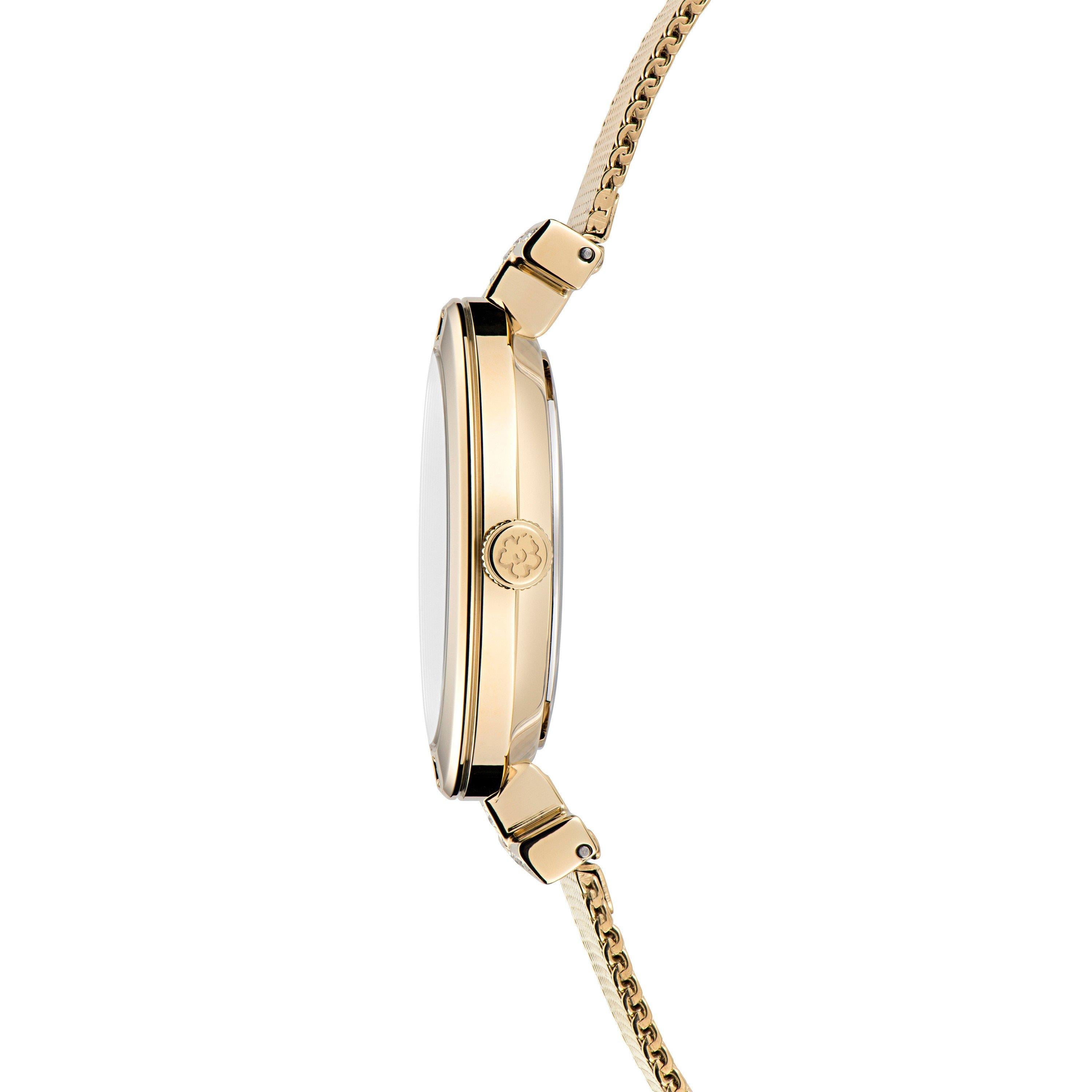 Darbey Quartz Analogue Watch