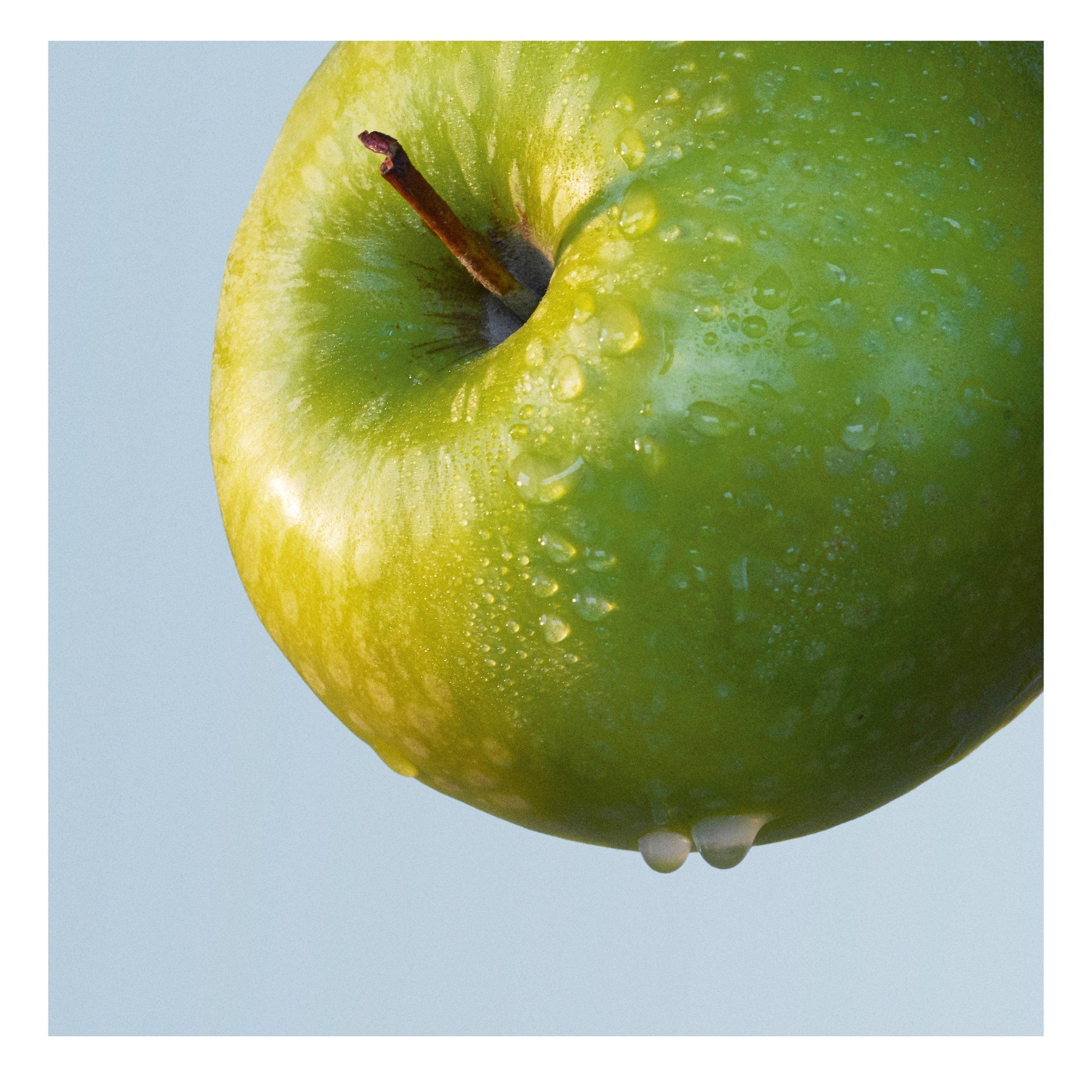 Bottled Tonic Eau de Toilette, Fresh Citrus Woody