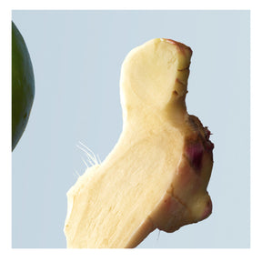 Bottled Tonic Eau de Toilette, Fresh Citrus Woody