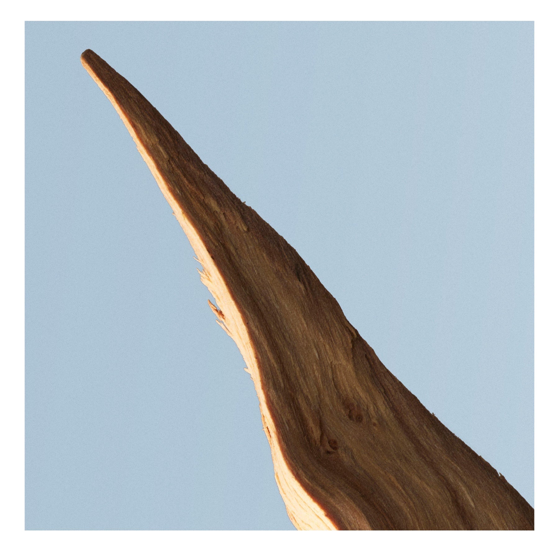 Bottled Tonic Eau de Toilette, Fresh Citrus Woody