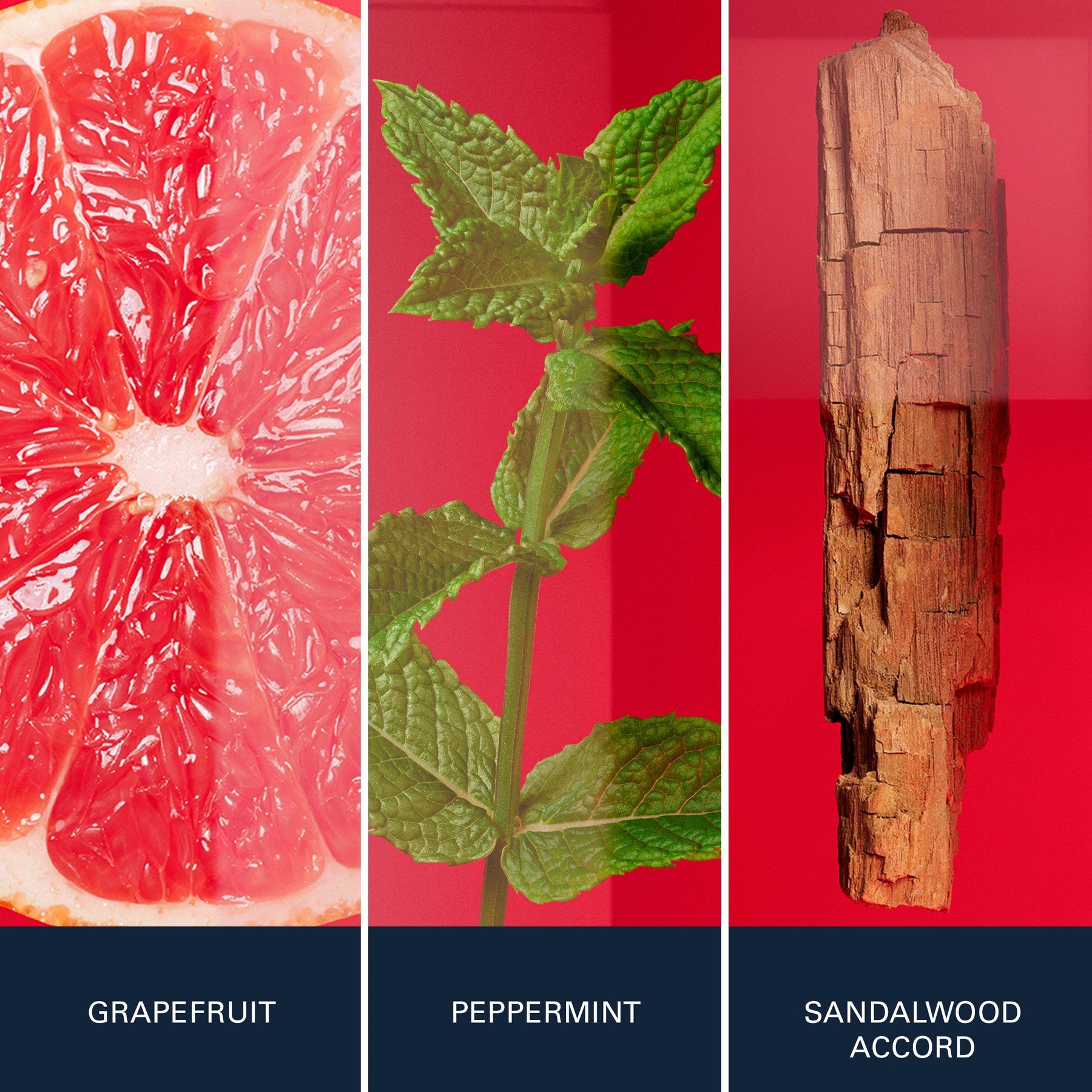 Men's HUGO Jeans VX Grapefruit, Peppermint Scent Eau de Toilette