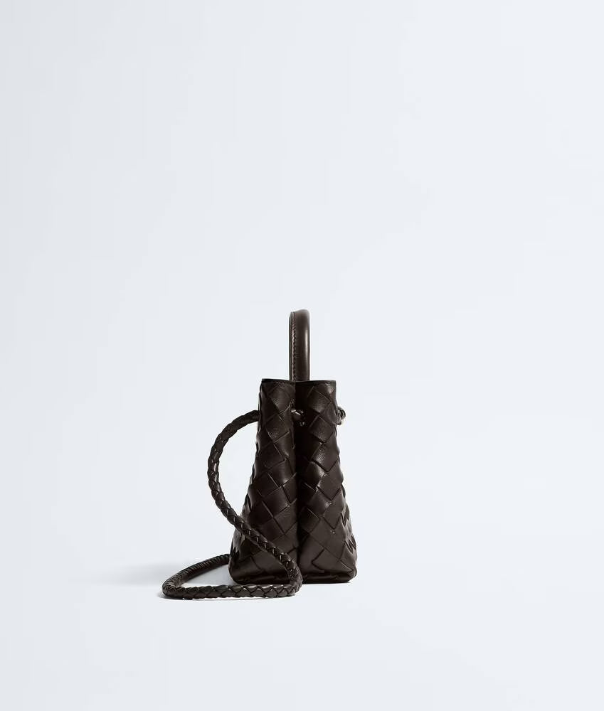 Bottega Veneta Mini Andiamo