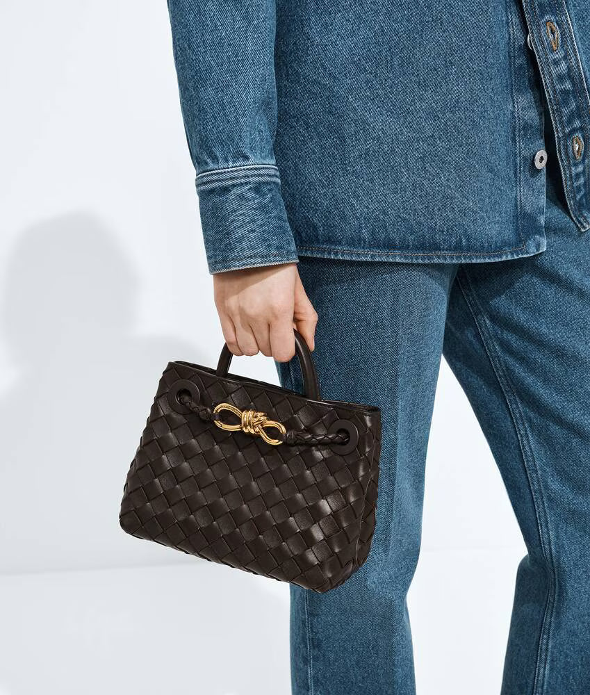 Bottega Veneta Mini Andiamo