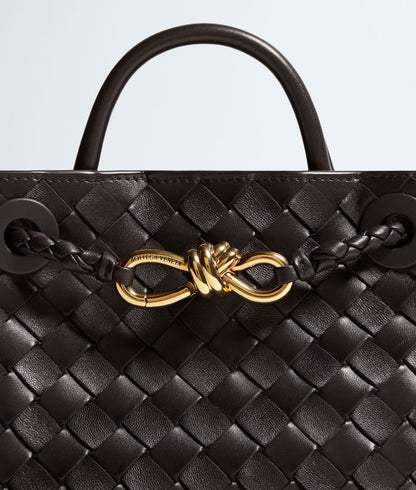 Bottega Veneta Mini Andiamo