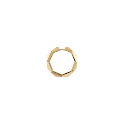 Link To Love Double Earrings
