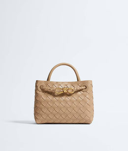 Bottega Veneta Mini Andiamo