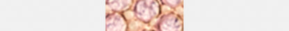 Pave Signature Necklace
