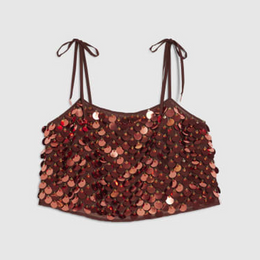 Brown Sequin Crop Top