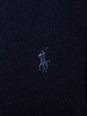 Polo ralph lauren Blue Crewneck Sweater with Pony Logo Embroidered on the Front in Wool Man