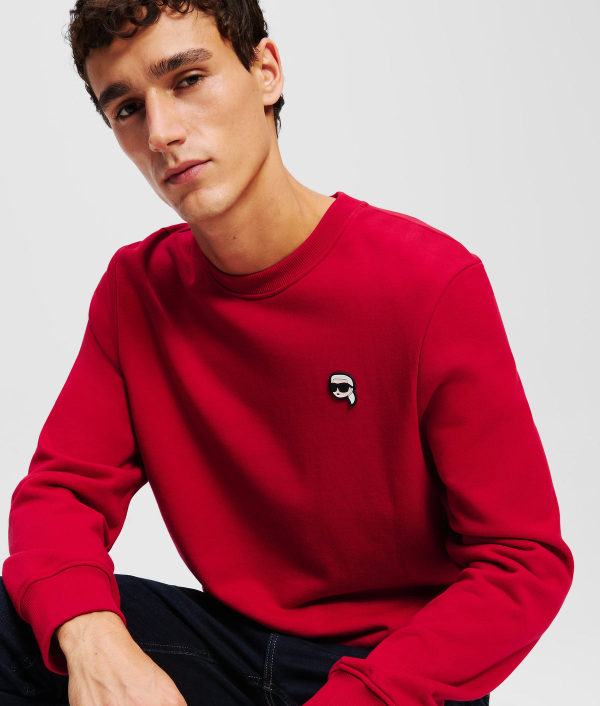 IKON PATCH SWEATSHIRT