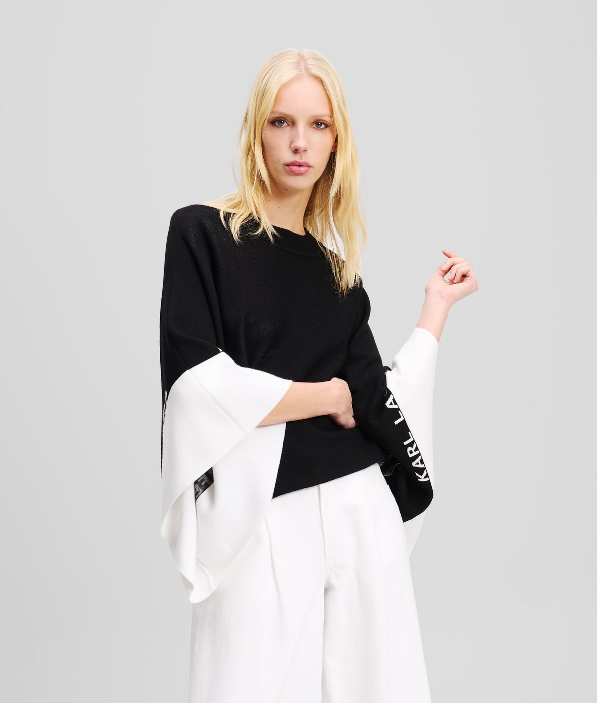 LOGO PONCHO