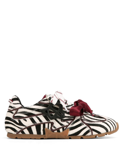 Adored Zebra Pony