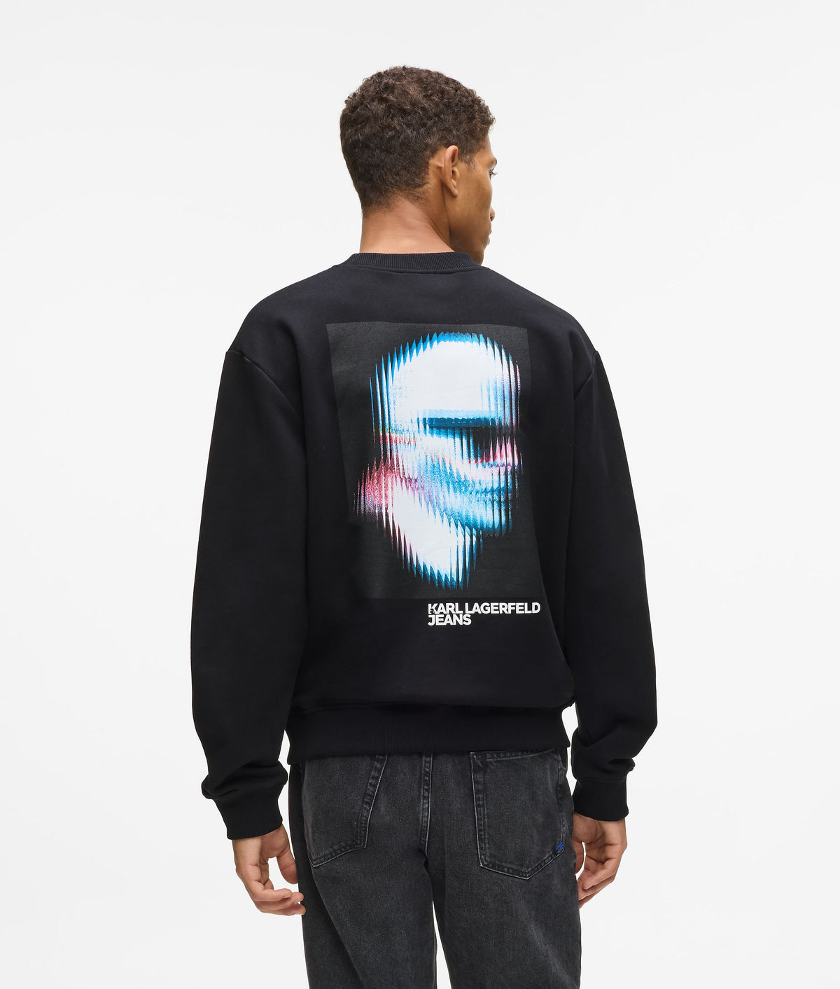 Digitized Karl sweatshirt