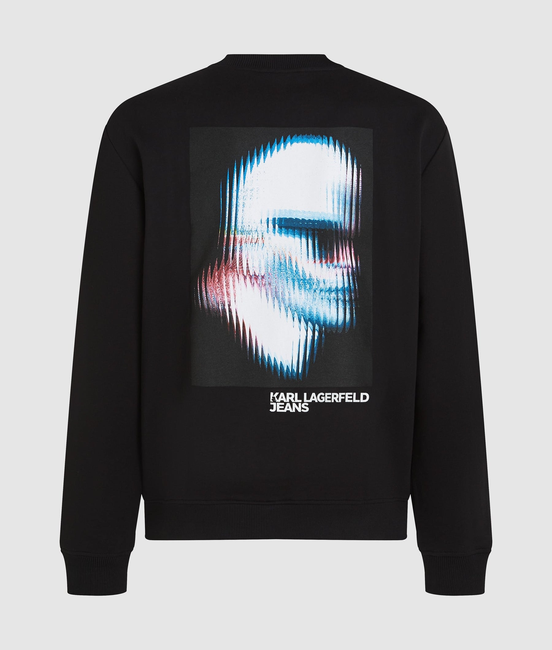 Digitized Karl sweatshirt