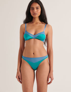Maya Thong Parrot