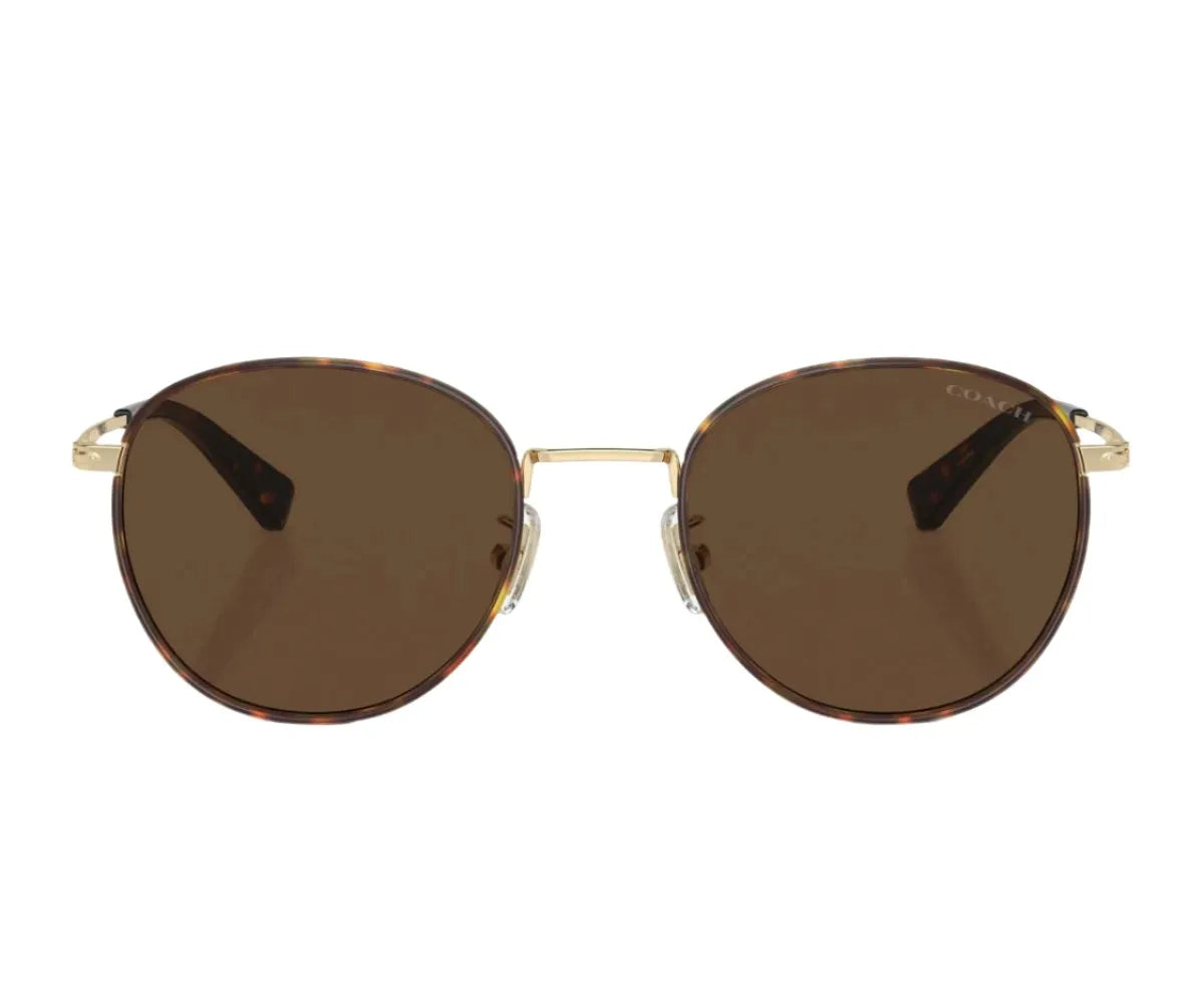 Coach Coach 7163 9005/3G 52 - Sunglasses | Shop From The Mirage