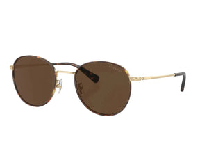 Coach Coach 7163 9005/3G 52 - Sunglasses | Shop From The Mirage