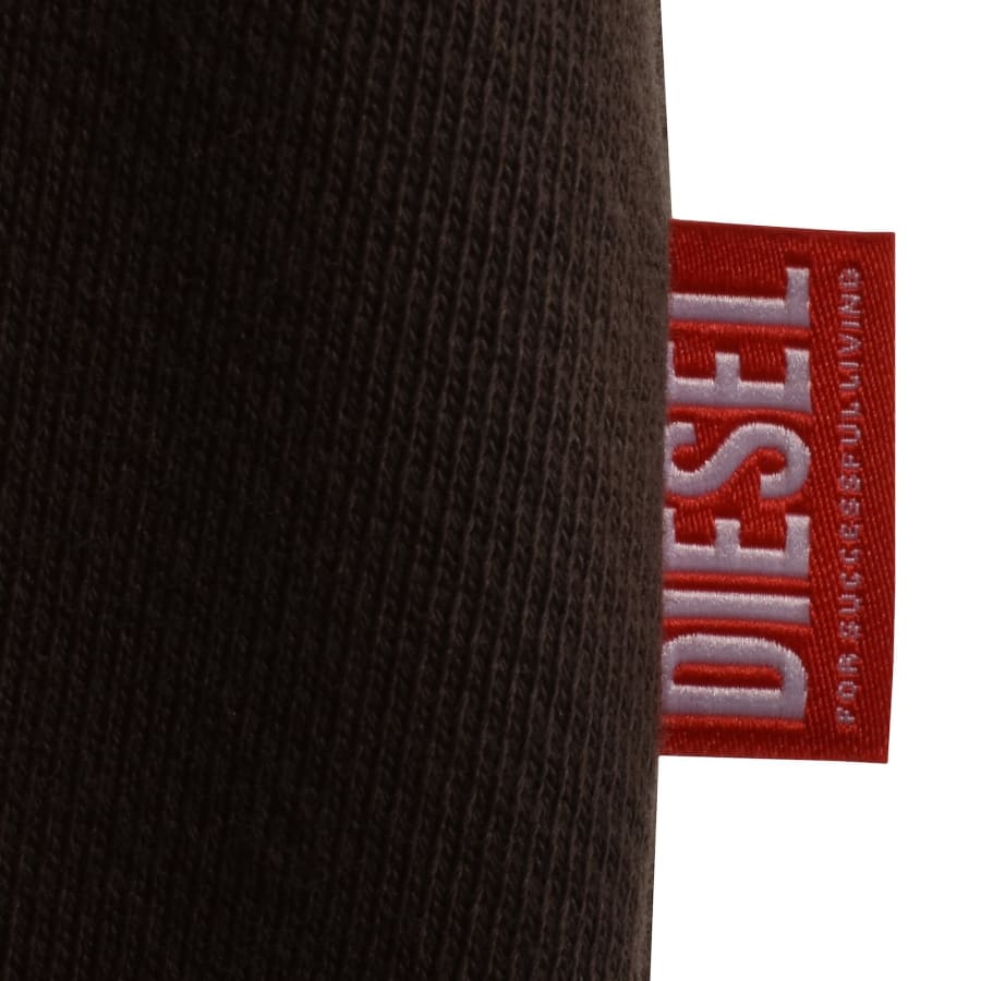 Diesel S Norman Hoodie Brown