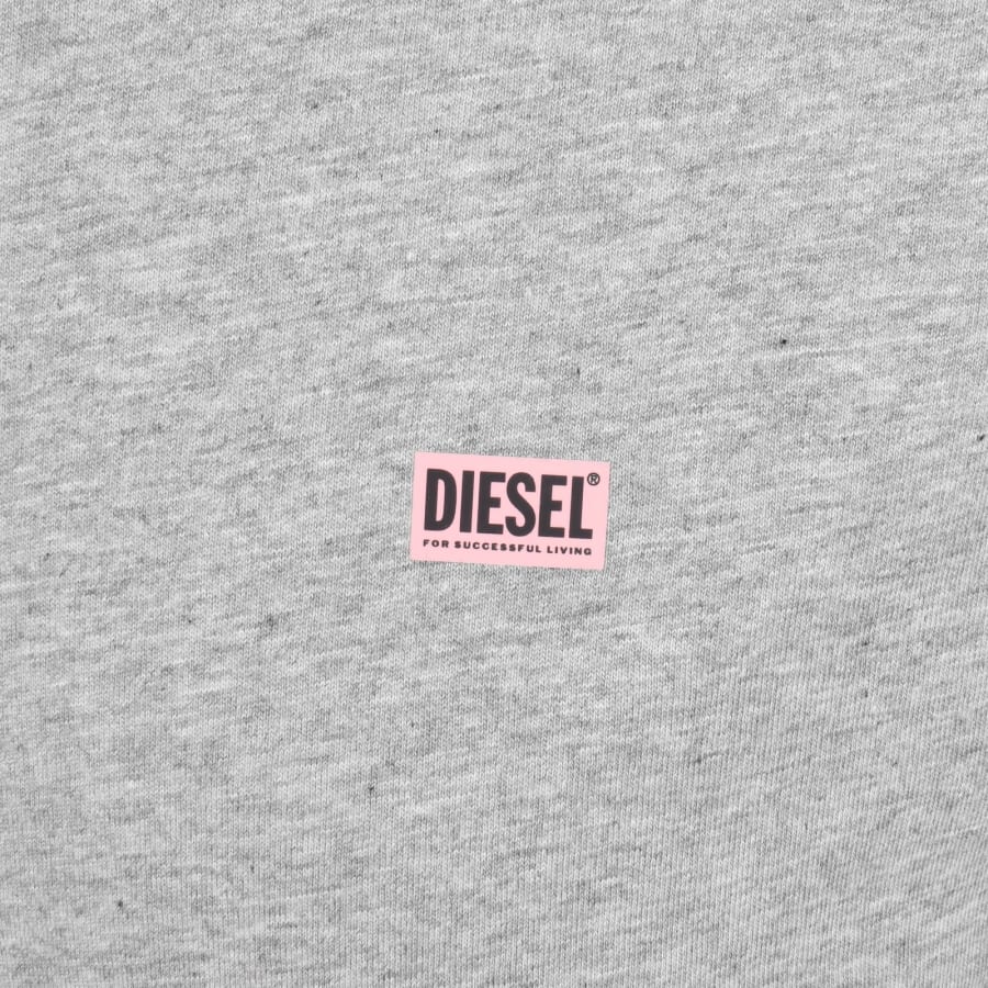 Diesel T Boxt T Shirt Grey